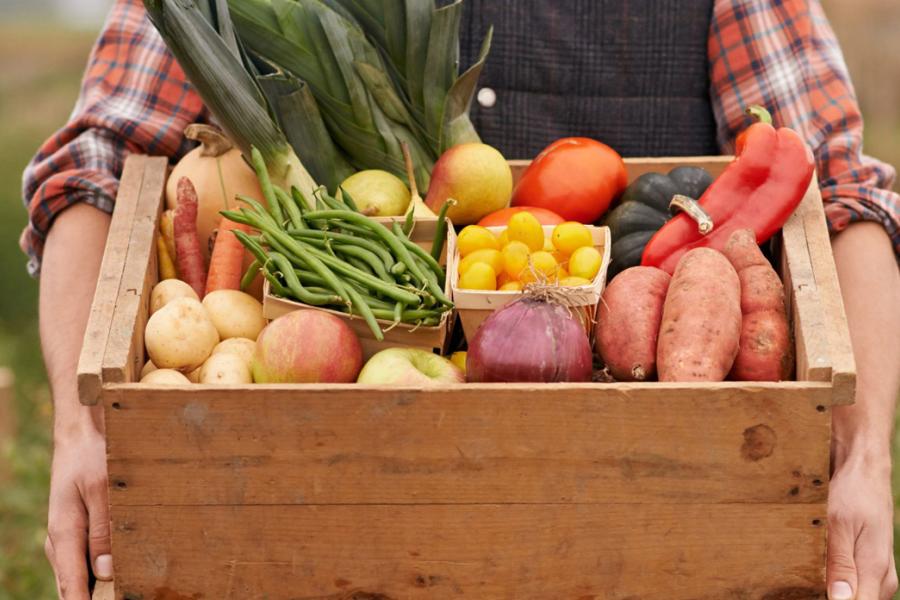 A wooden crate of green beans, potatoes, peppers, apples and other vegetables held by hands