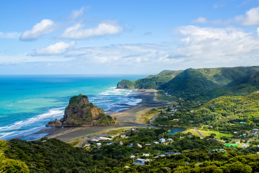 Teaching Internship in New Zealand (Waikato)