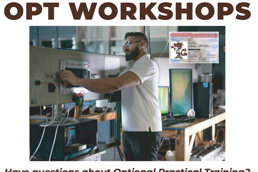 OPT Workshop Flier
