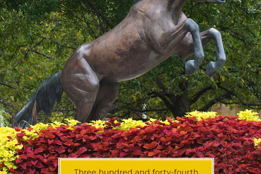 Front cover of June 2025 commencement program 