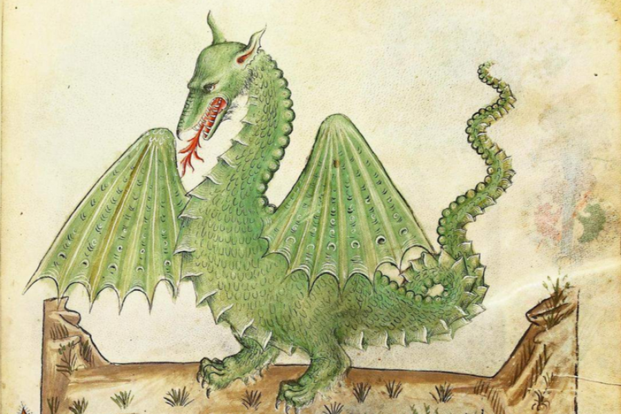 Medieval Dragon Sketch from Encyclopedia Medica