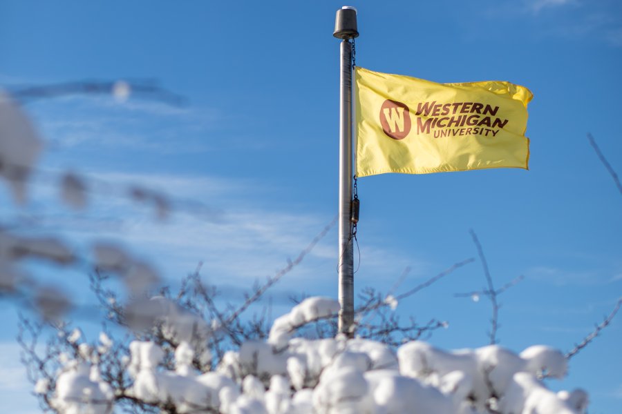 The WMU flag flies above a snowy tree.
