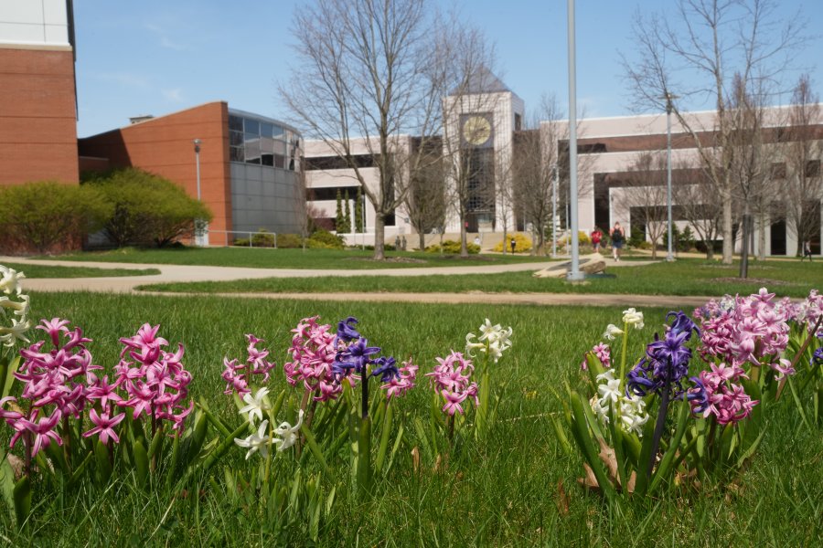 view of the library with spring flowers in the foreground