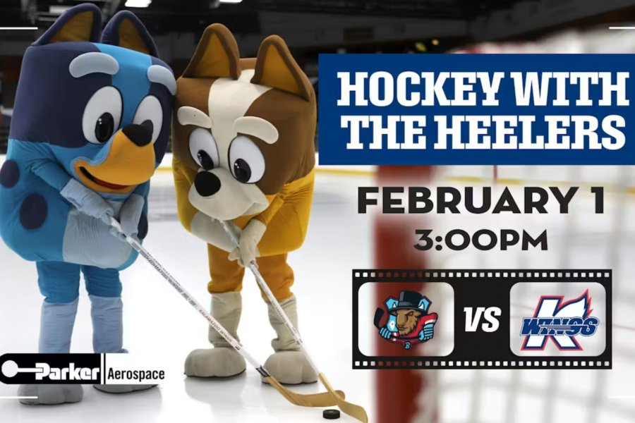 Bluey and Bingo with hockey sticks and text that reads Hockey with Healers, February 1, 3:00 p.m.