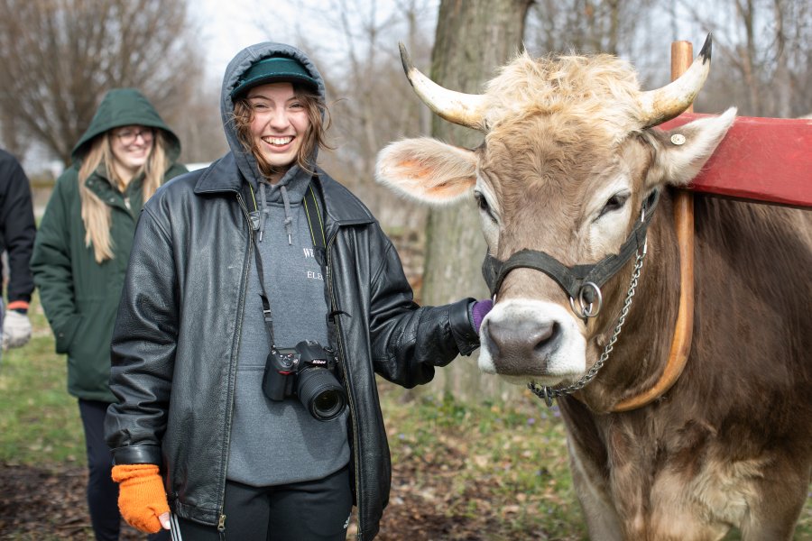 A student posing with oxen