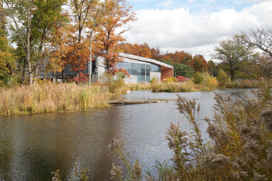 The colors of fall blanket Western’s Main Campus. The Goldsworth Valley Pond is seen with the Valley Dining Center in the background.
