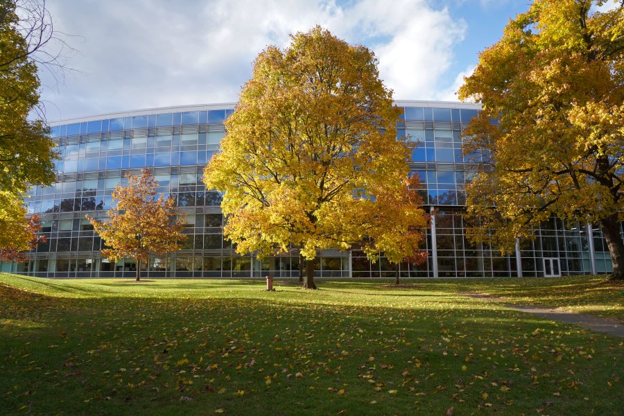The College of Health and Human Services on WMU’s East Campus is seen during the Fall. The CHHS building is surrounded by trees, showcasing Autumn.