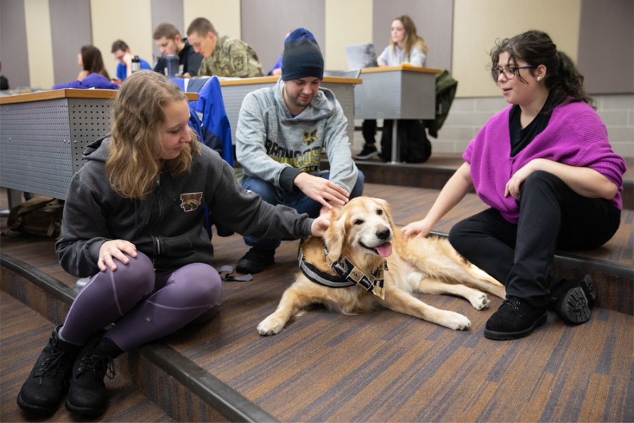 studnets and a therapy dog in lecture hall. 
