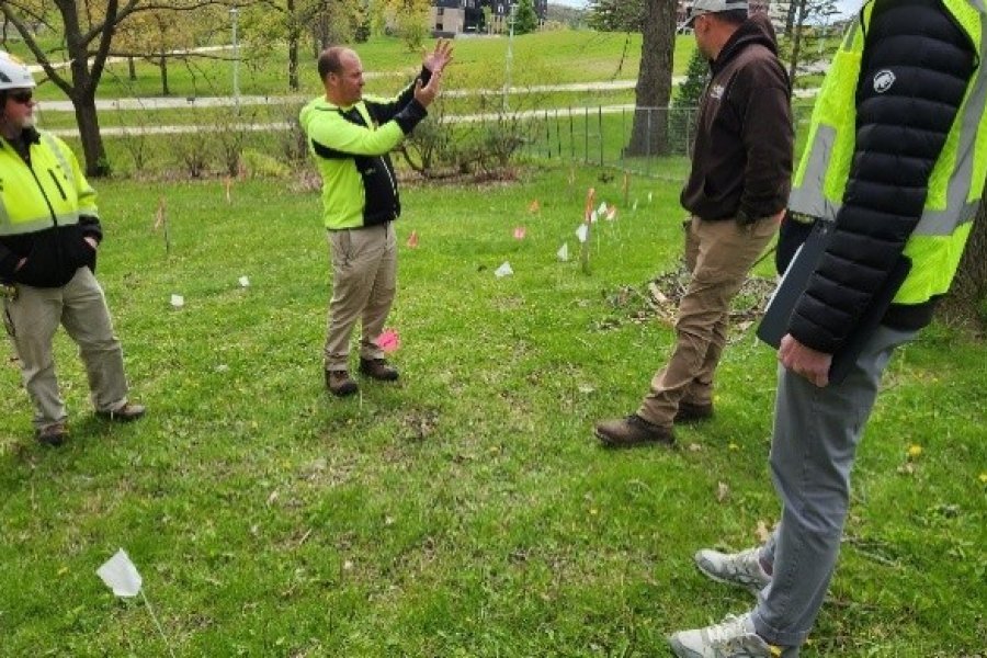 Landscape services employees discuss trees on The Oaklands site.