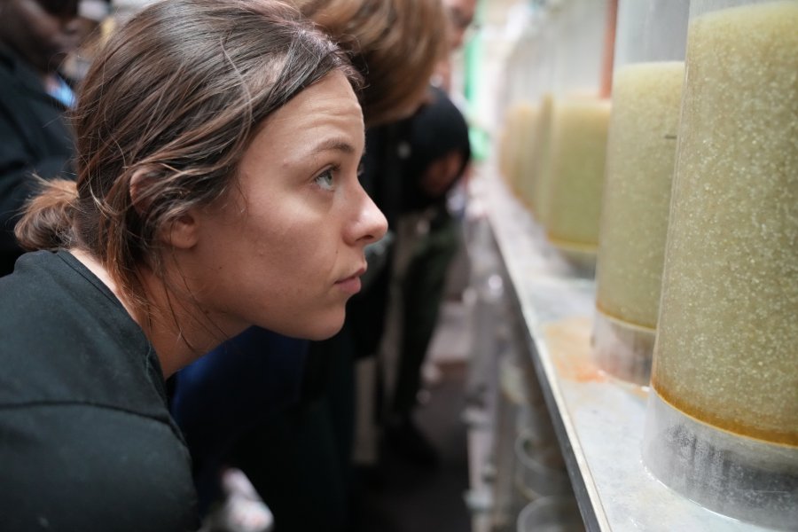 a female with dark hair inspects a test tube of liquid