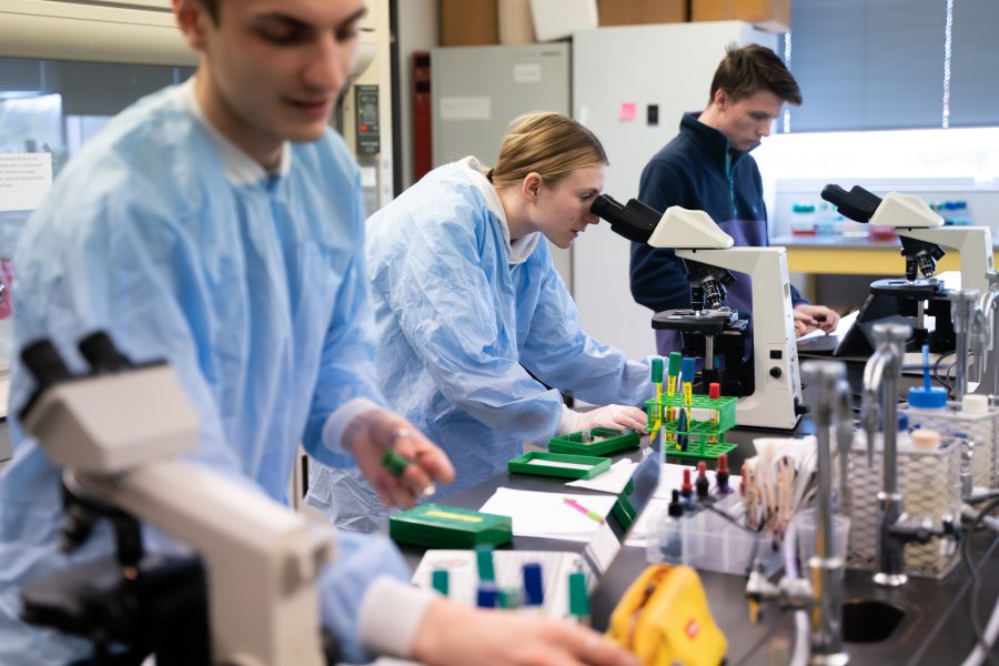 two students in blue protective gear examine samples in a laboratory