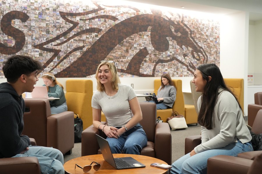 Students gathering at the student center.