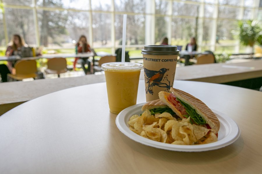 A coffee, smoothie and panini in Plaza Cafe.