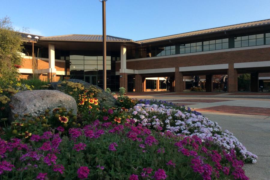 Purple and pink flowers bloom at the Haworth College of Business.