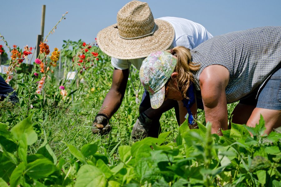 Sustainability, landscaping and gardening on campus.