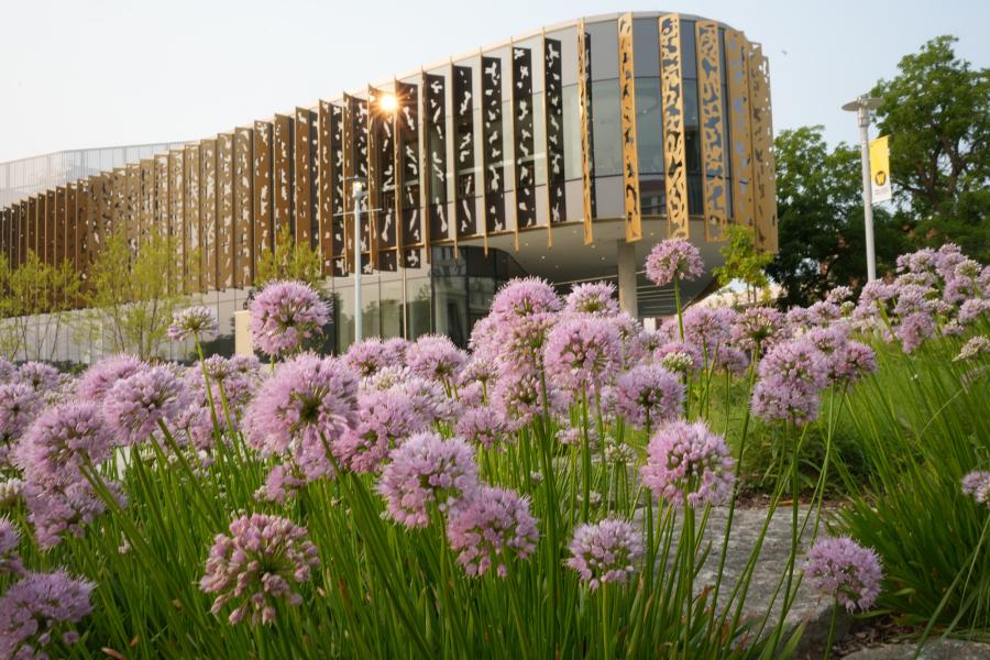 Student Center, flowers in bloom.
