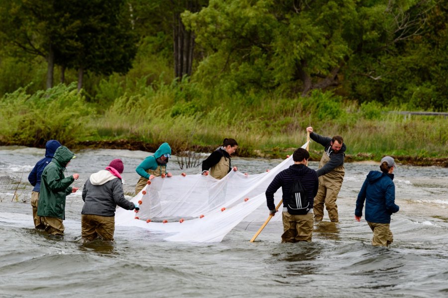 Students in a river hoisting up a trawl