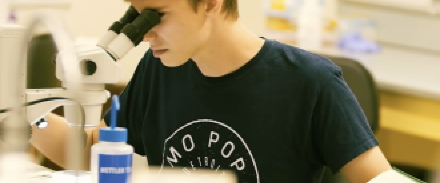 male student looking through a microscope