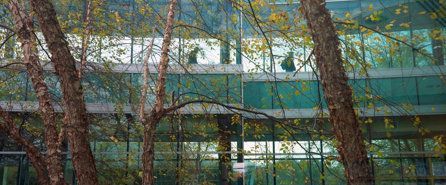 Western Michigan University's College of Engineering and Applied Sciences