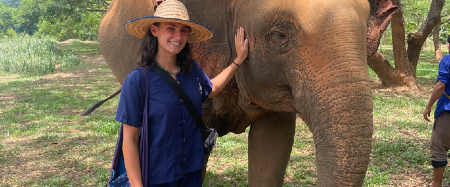 Presley thailand