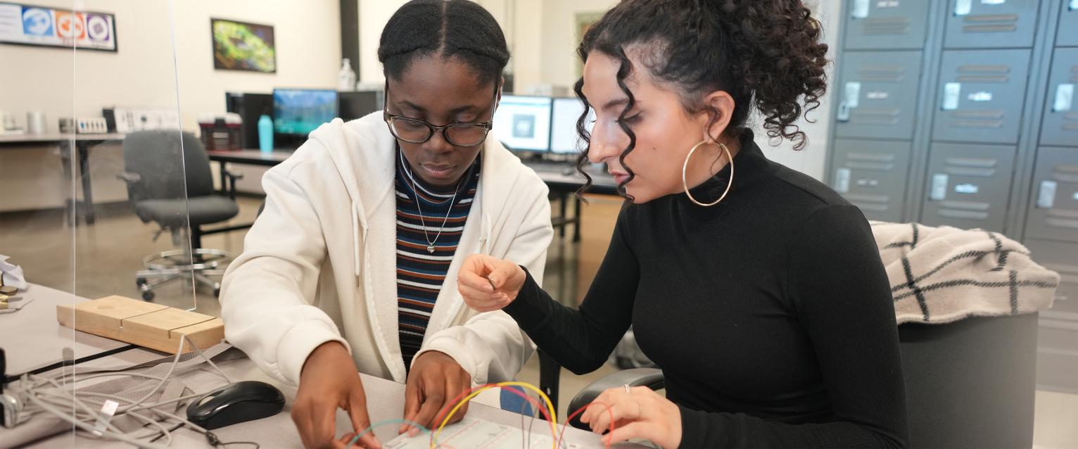 Two grad students working intently in lab