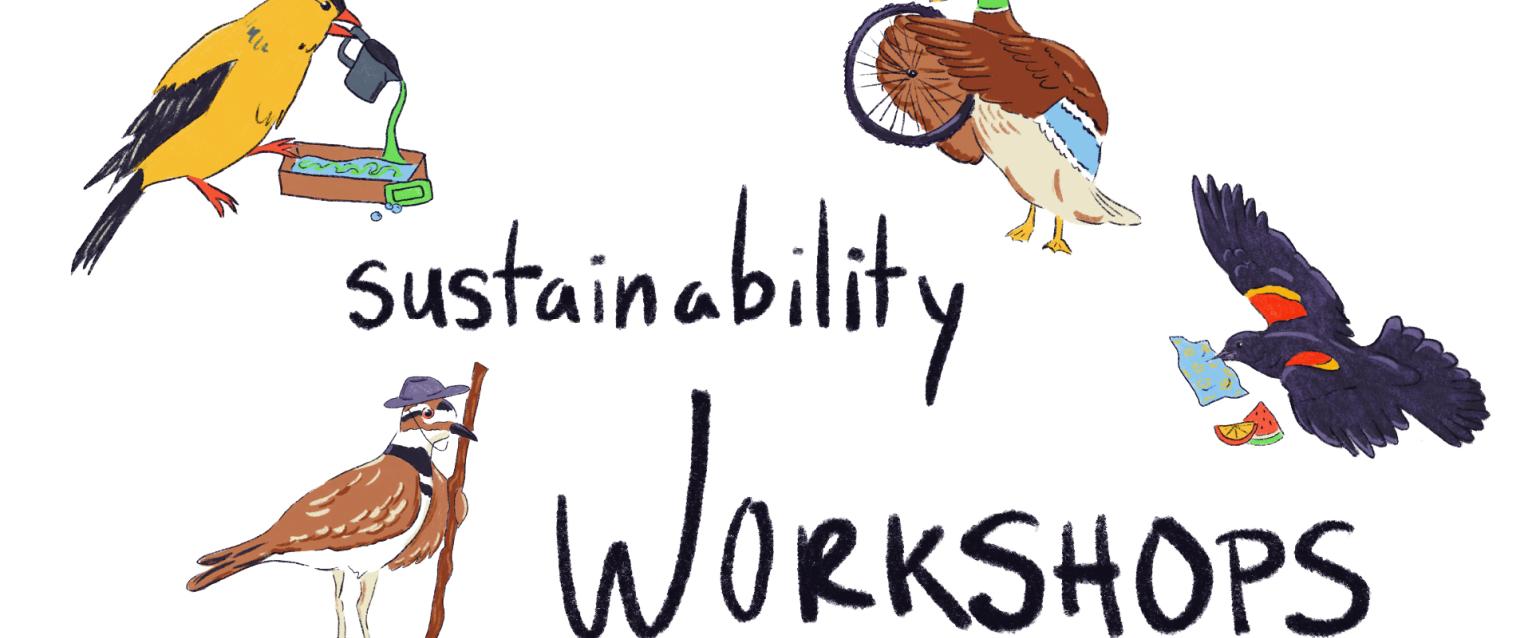 Text says,"Sustainability Workshops" with 4 different birds participating in workshop activities 
