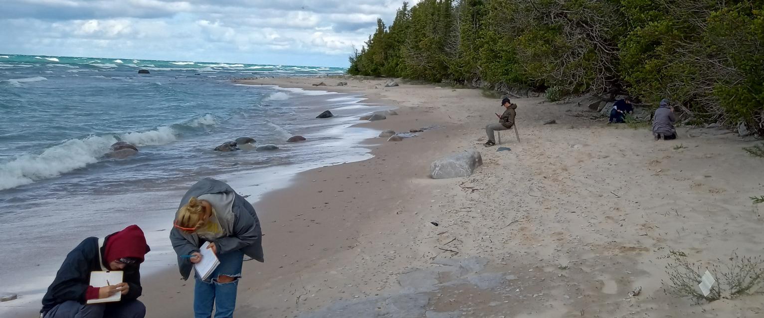 students on beach during geology field trip