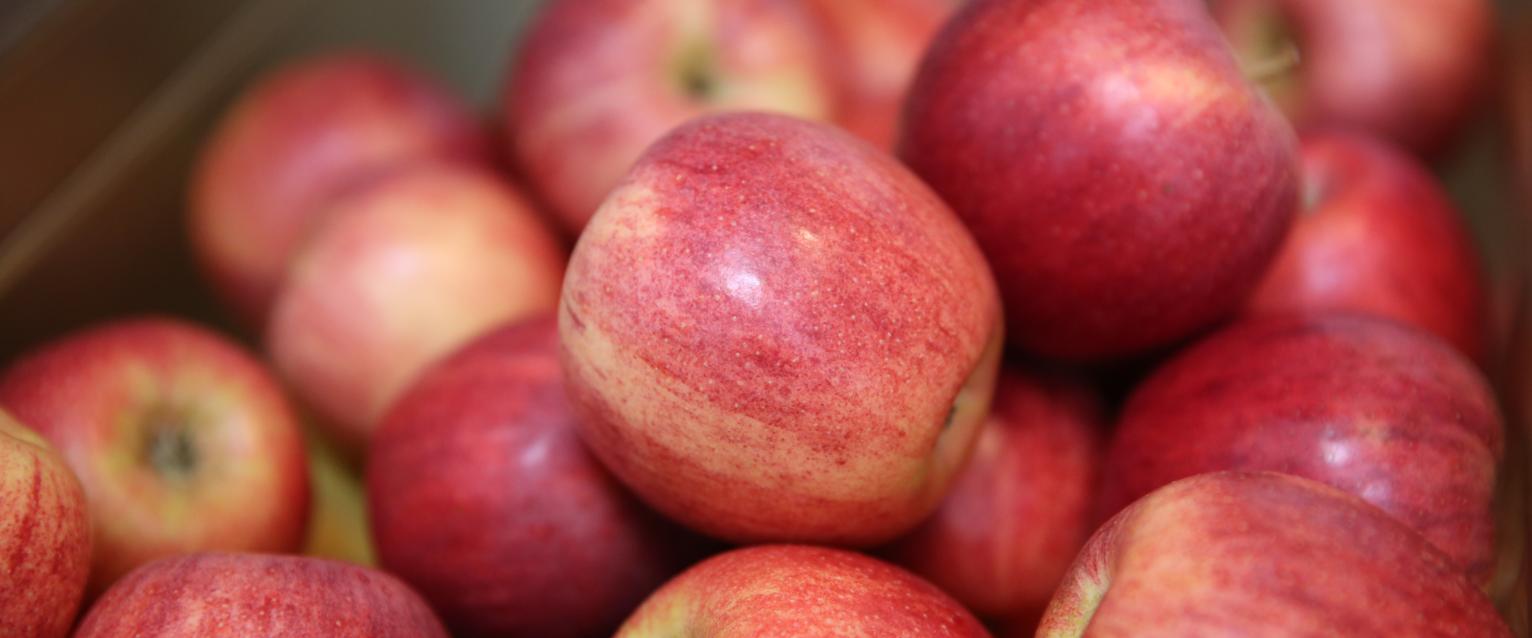 Apples