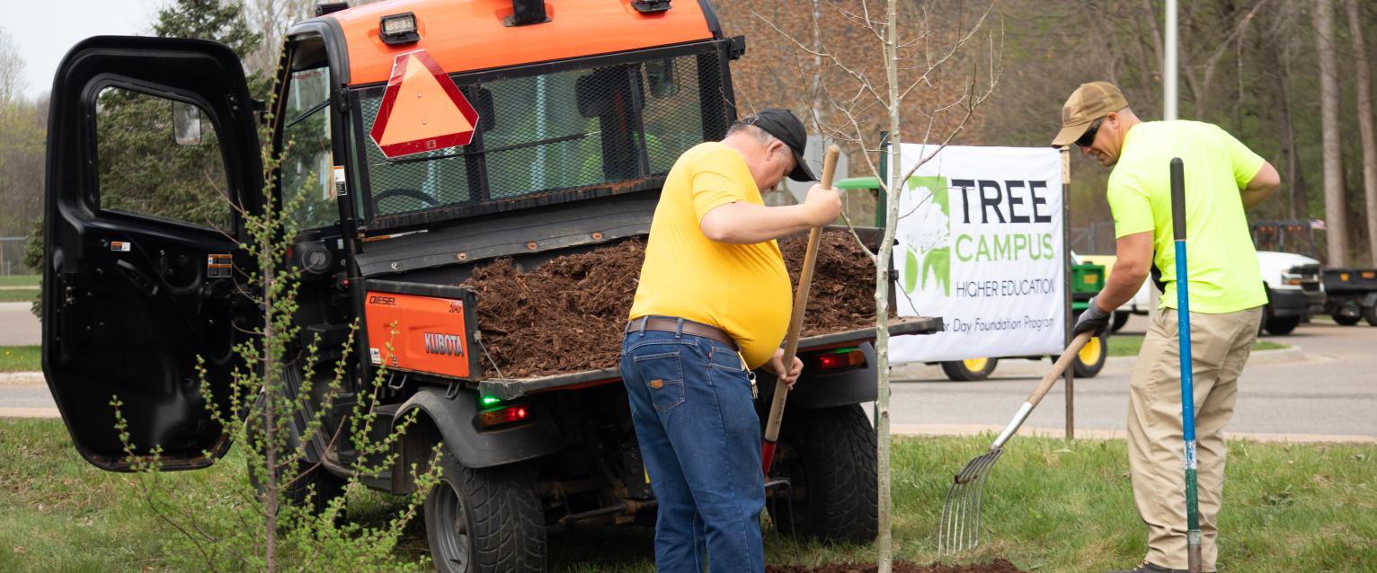 Two landscape employees are seen finalizing the planting of the Quaking Aspen tree during the 2025 Arbor Day celebration.