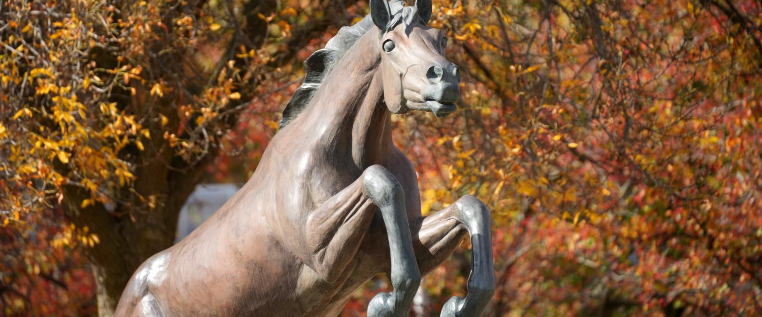 The Bronco Horse on Campus