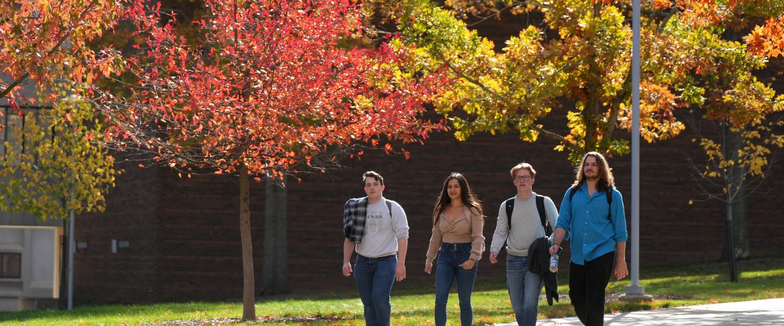 Students walking in fall leaves