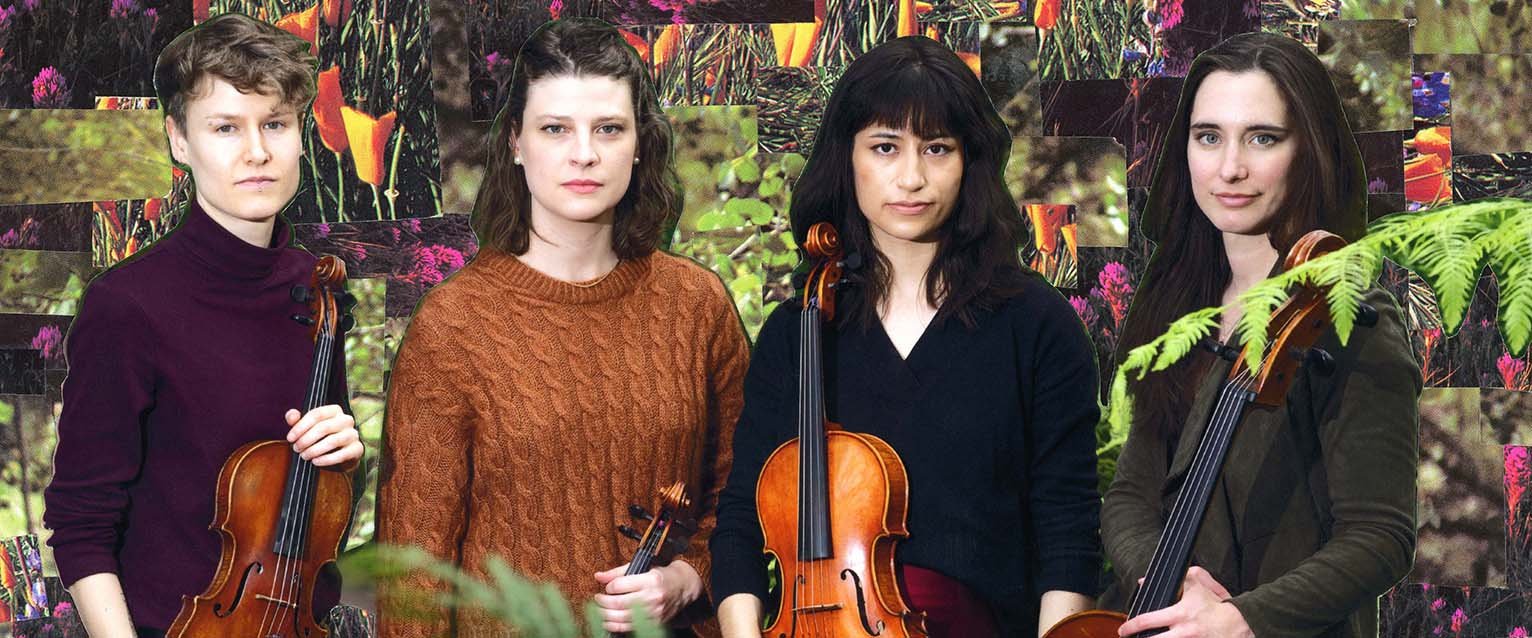 four string musicians with instruments standing in trees