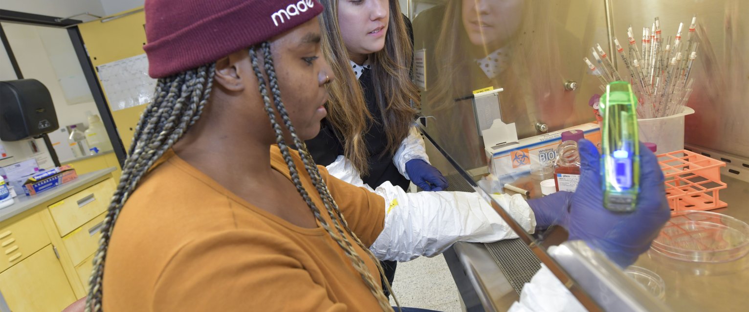 Biology students in lab