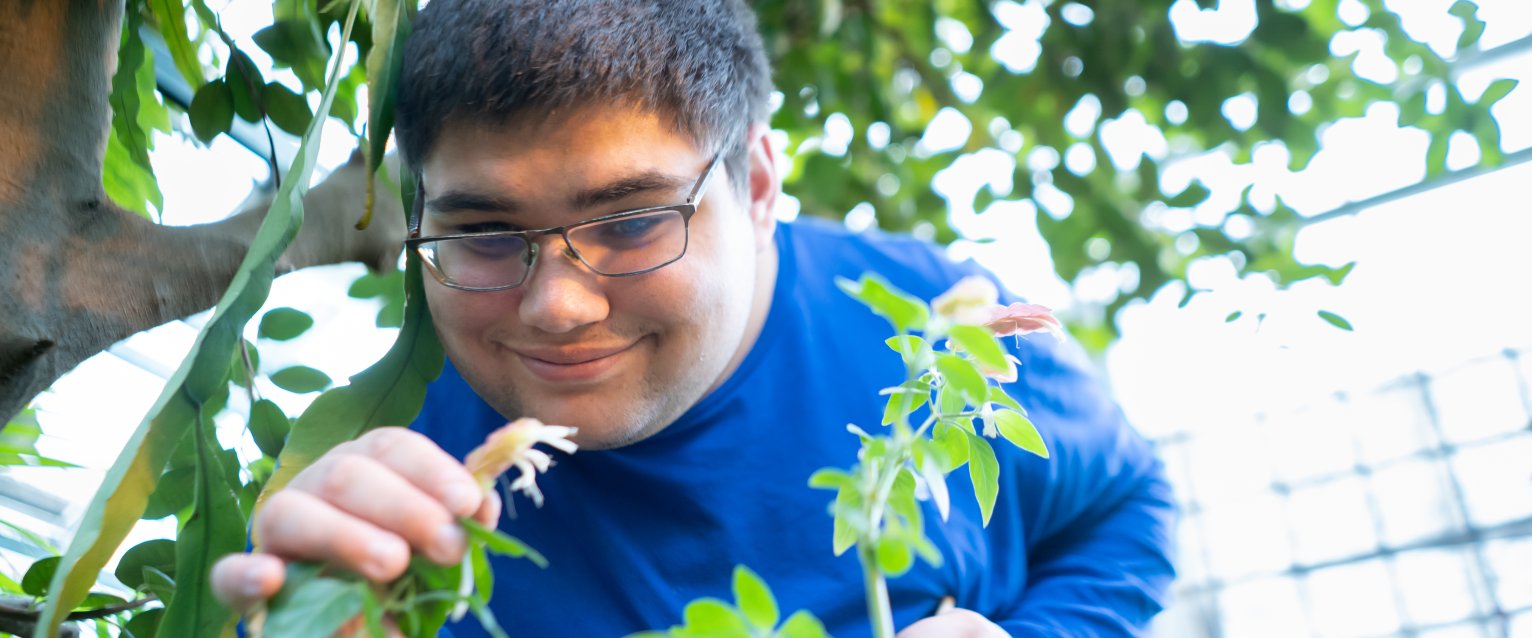 male student wearing glasses looking at a flower