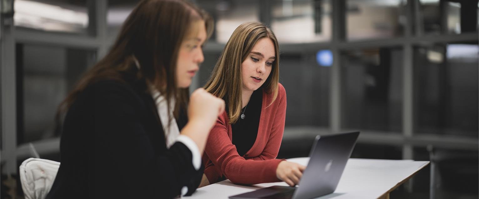 A pair of students studying at a computer