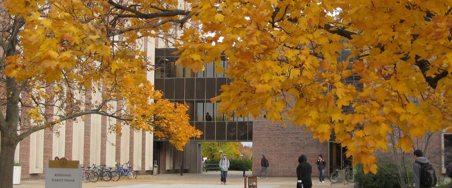 Everett Tower Bridge in Fall