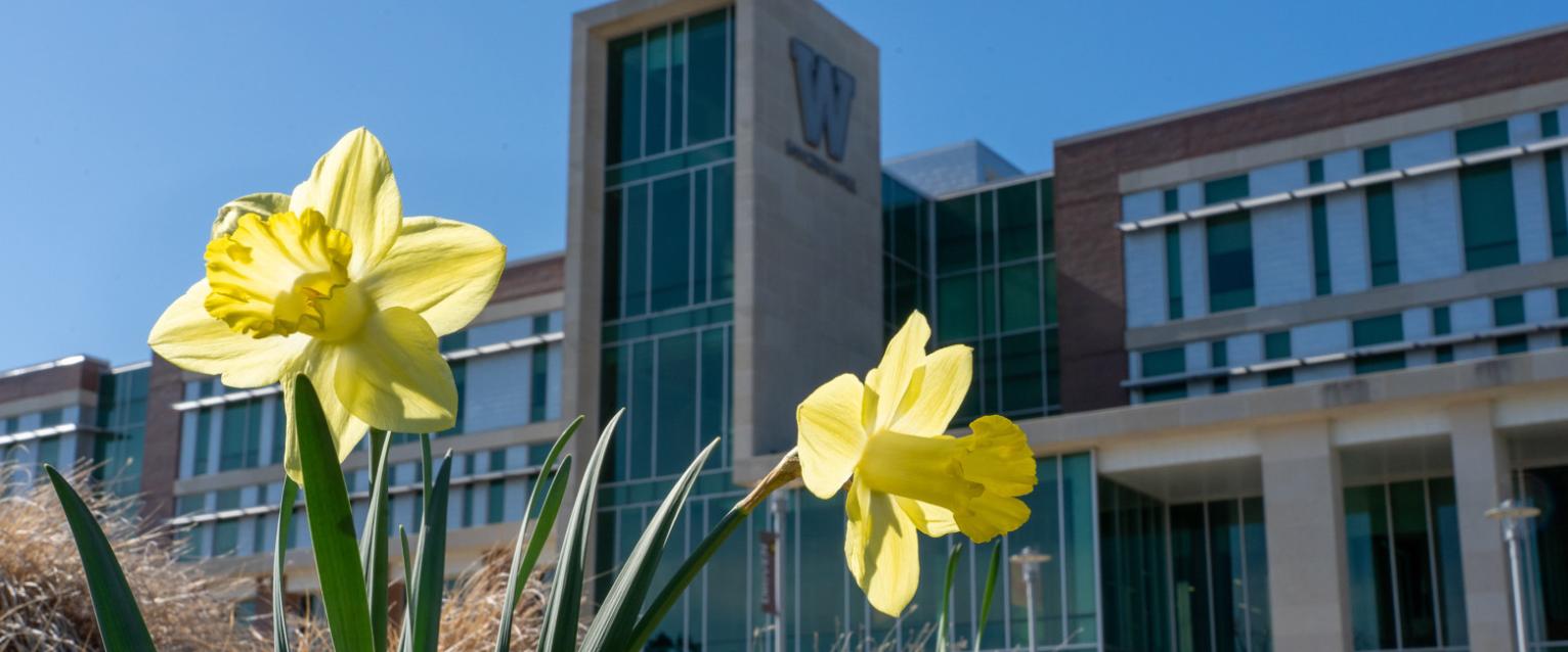 Sangren Hall with daffodils