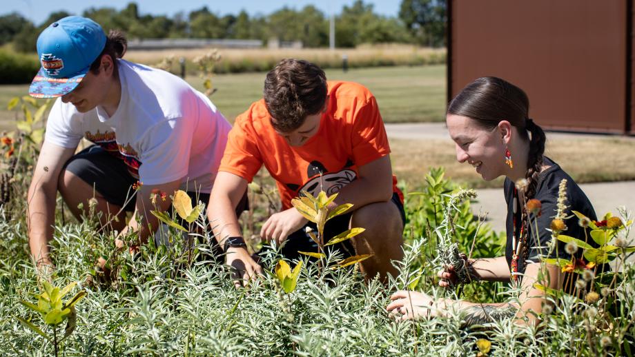 Students harvest from a garden.