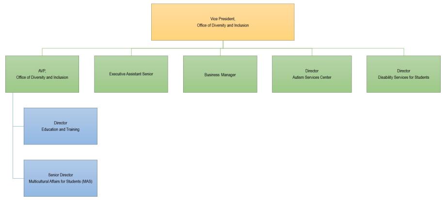 Flow chart of ODI leadership positions