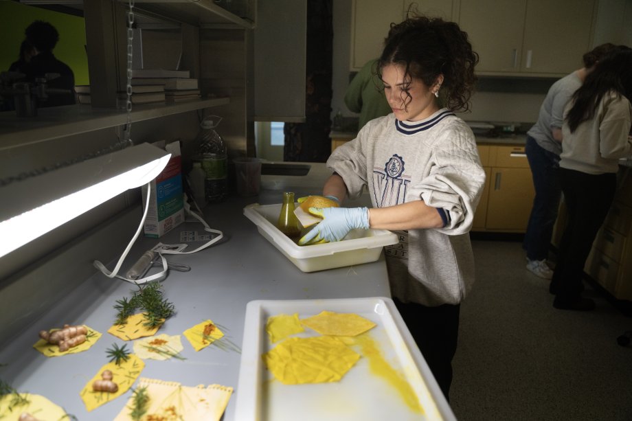 A student creates art using organic materials like roots and branches.