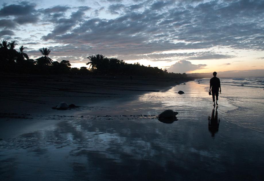 Ostional, Guanacaste, Costa Rica.