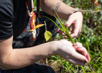 Hands holding sweetgrass.