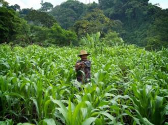 "Health and Permaculture in Guatemala," Spring 2017.