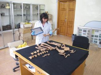 researcher studying bones  