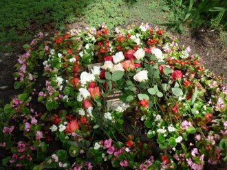 flowers over murakami's grave