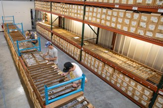 Boxes on shelves inside the storage area of the Michigan Geological Repository for Research and Education.