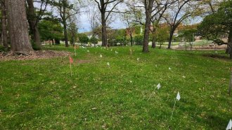 The Oaklands lawn is flagged for upcoming construction.