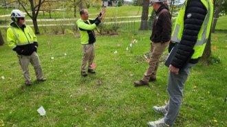 Landscape services employees discuss trees on The Oaklands site.
