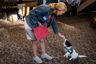 Trainer Reinforcing Service Pet