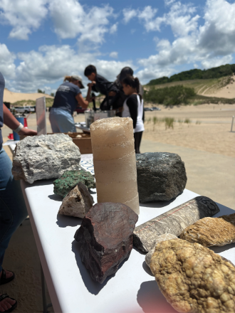 Fossil and rock samples